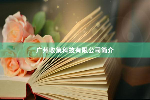 广州收集科技有限公司简介